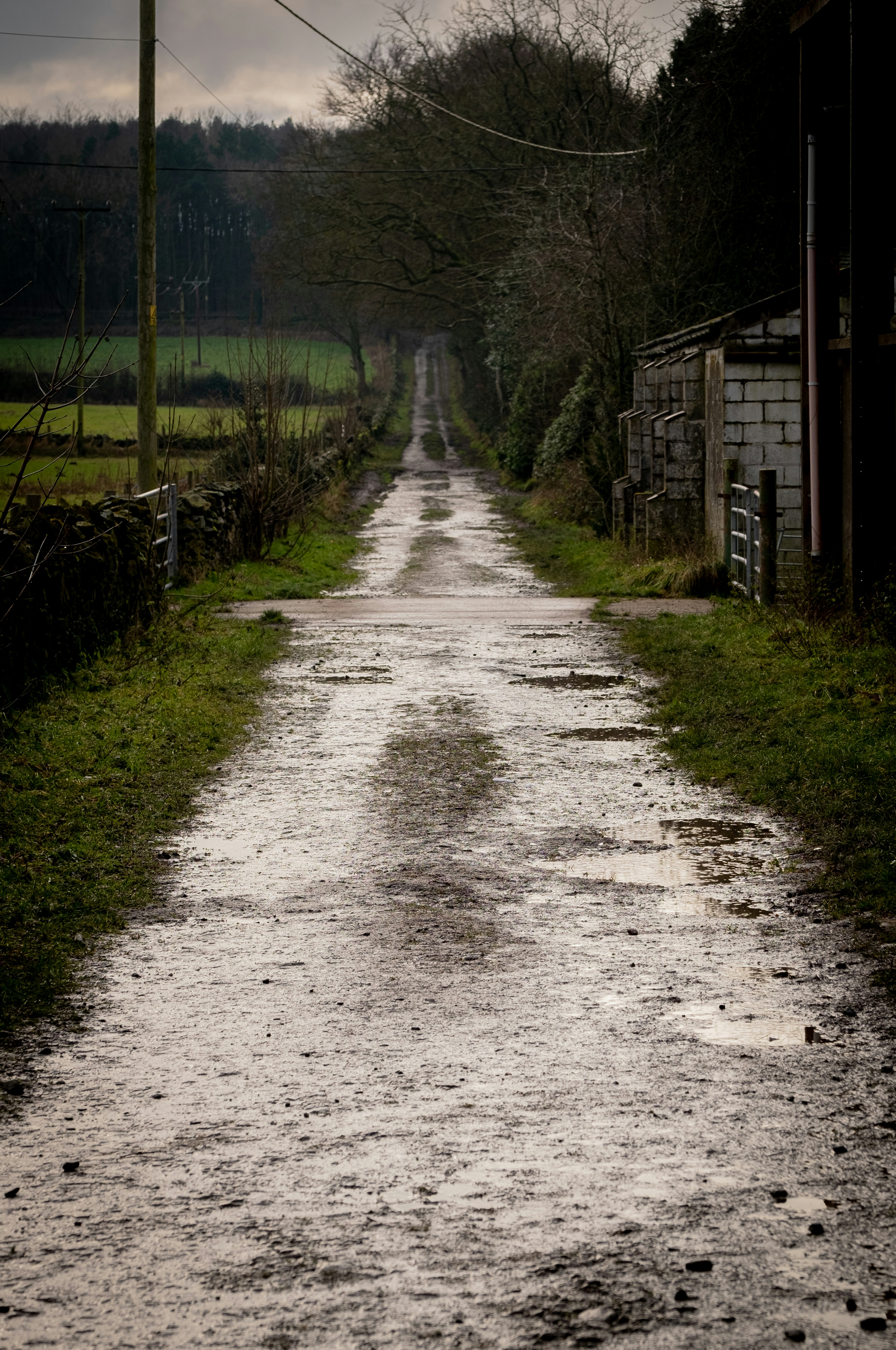 Gray pathway between green grass and trees photo – Free Building Image ...