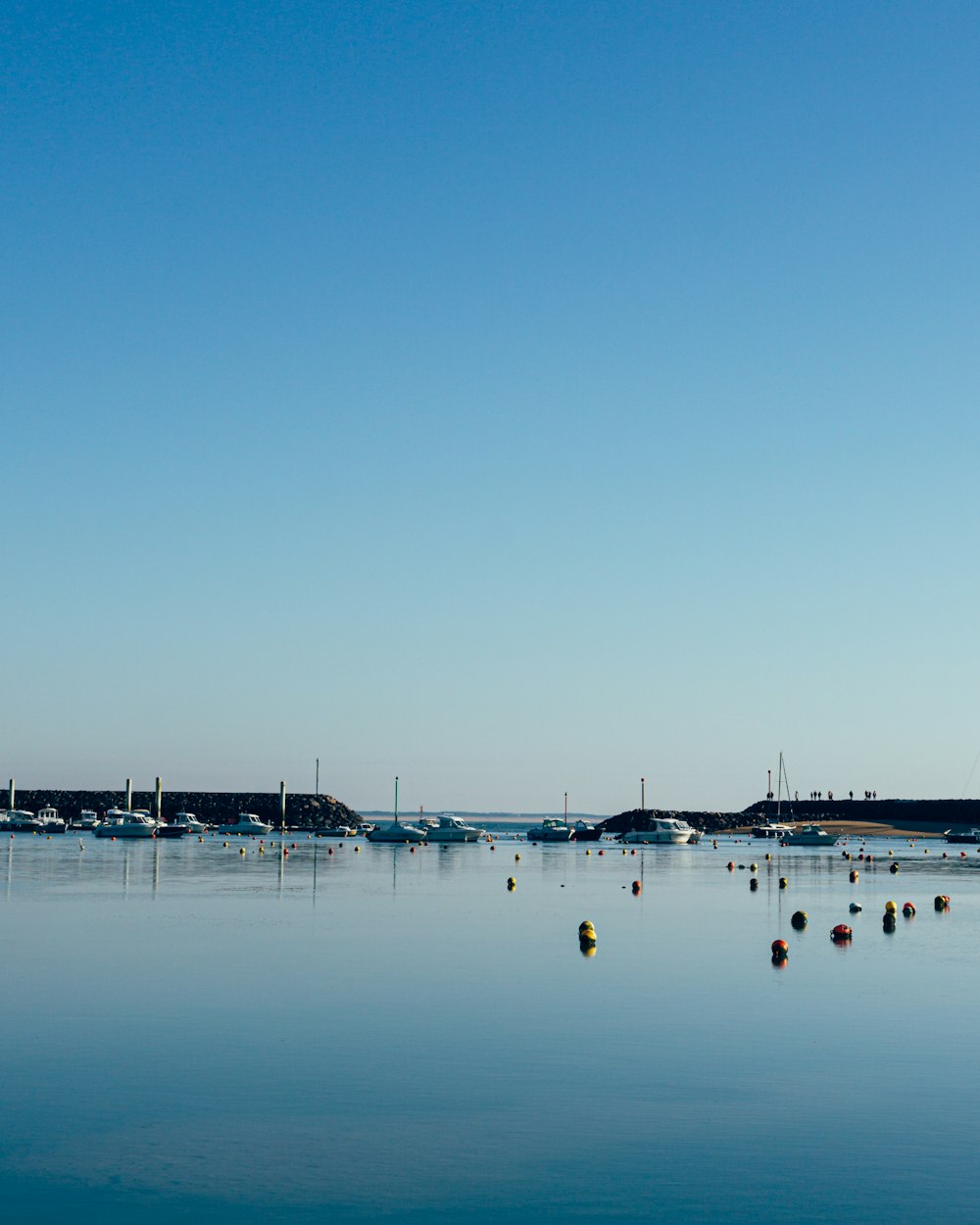 white sail boat on sea during daytime