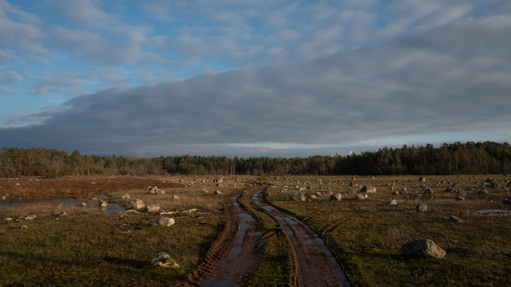 Brauner Feldweg inmitten eines grünen Grasfeldes unter weißen Wolken und blauem Himmel