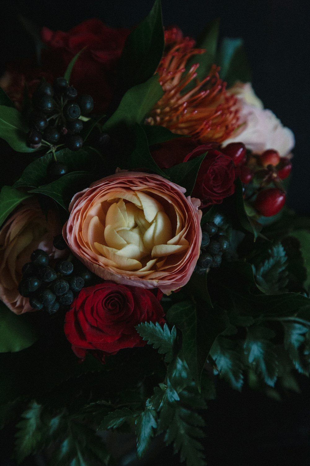 red and white rose in bloom