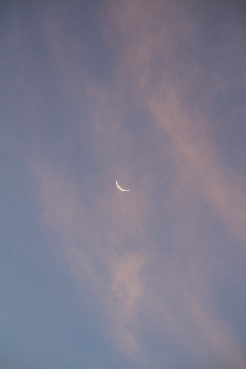 half moon in the sky