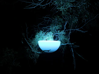 A mysterious ancient artifact glowing under moonlight in a dark forest