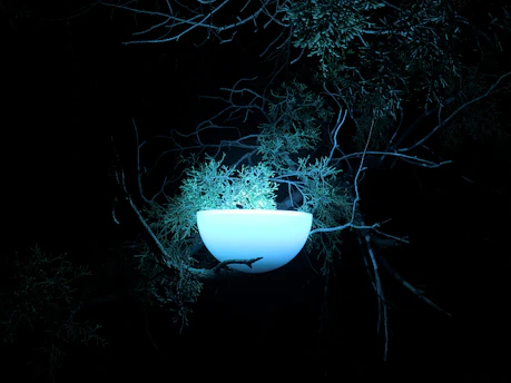 A mysterious ancient artifact glowing under moonlight in a dark forest