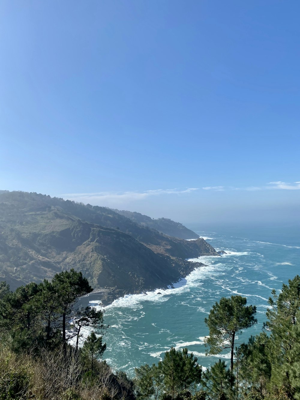 green trees on mountain near sea during daytime