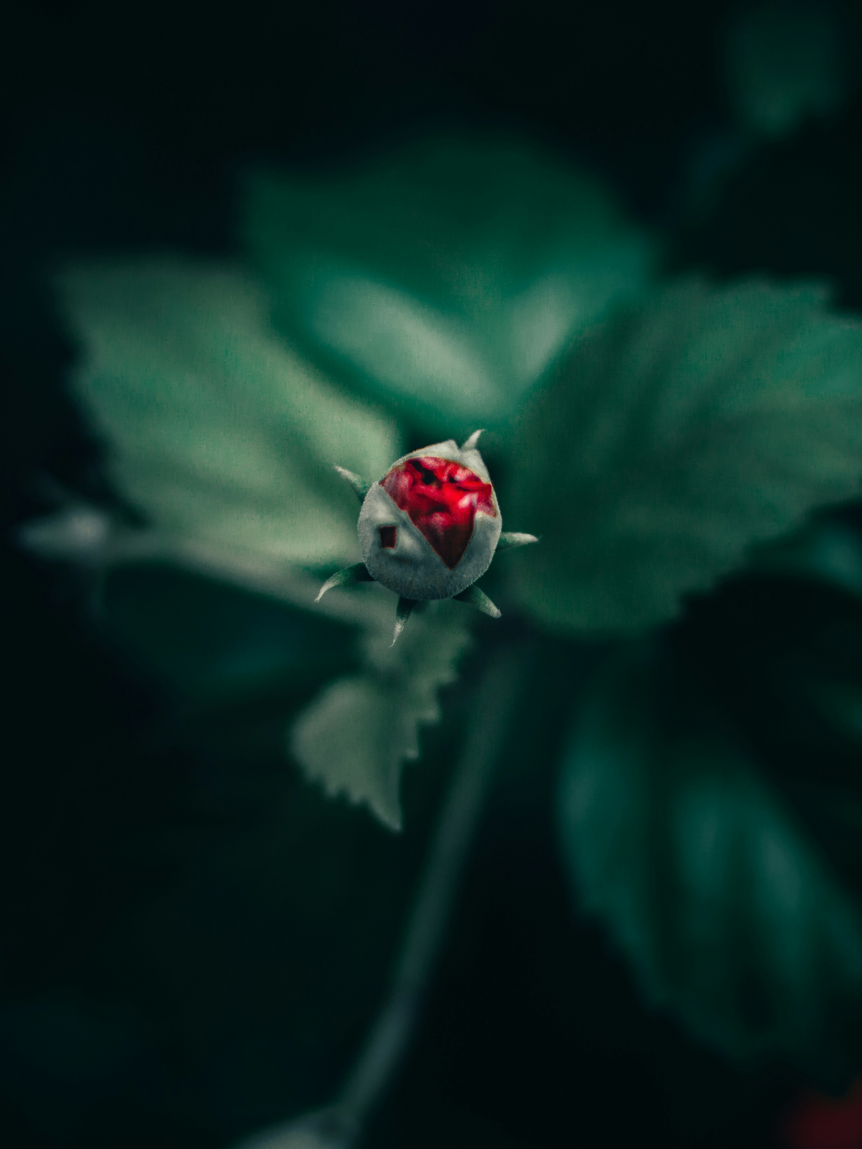 Photo by nishaan_ahmed