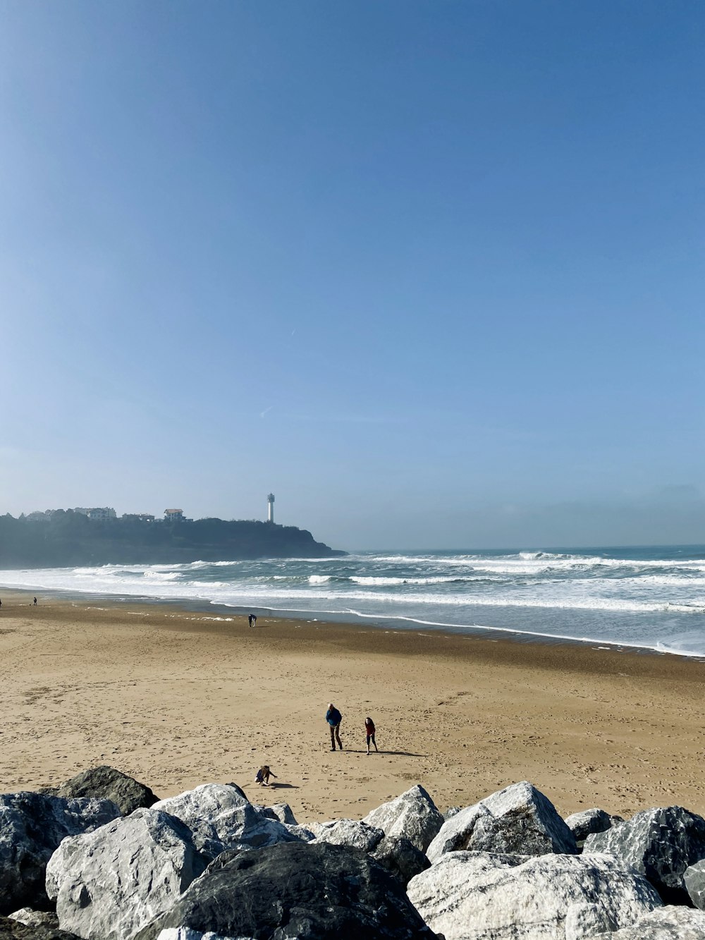 people on beach during daytime