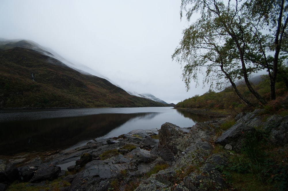 lake between trees and mountains