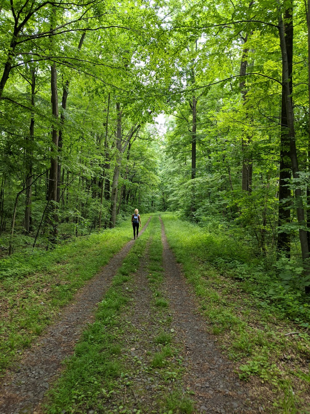 Persona con chaqueta negra caminando por el camino entre árboles verdes durante el día