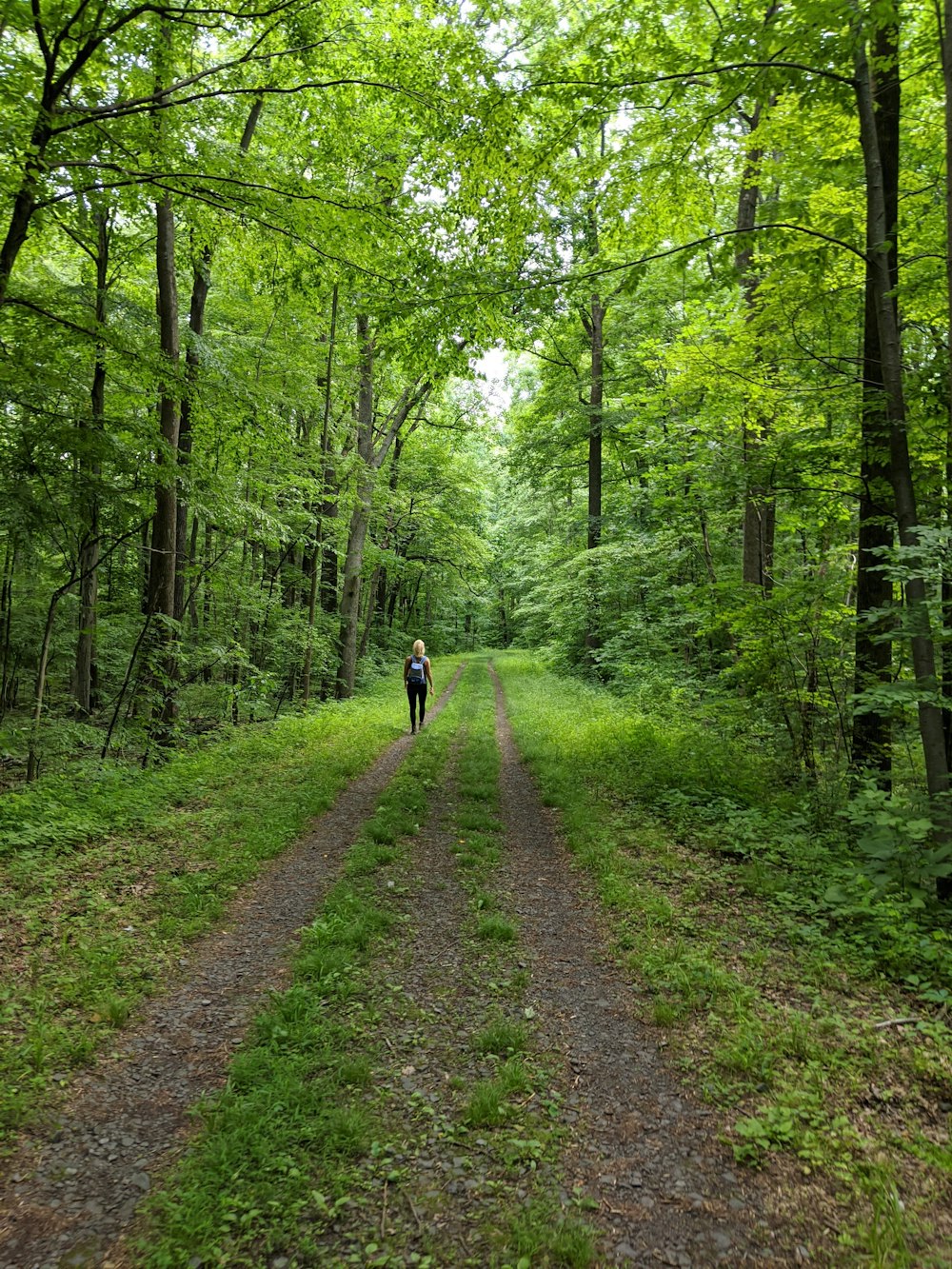 Persona in giacca nera che cammina sul sentiero tra gli alberi verdi durante il giorno