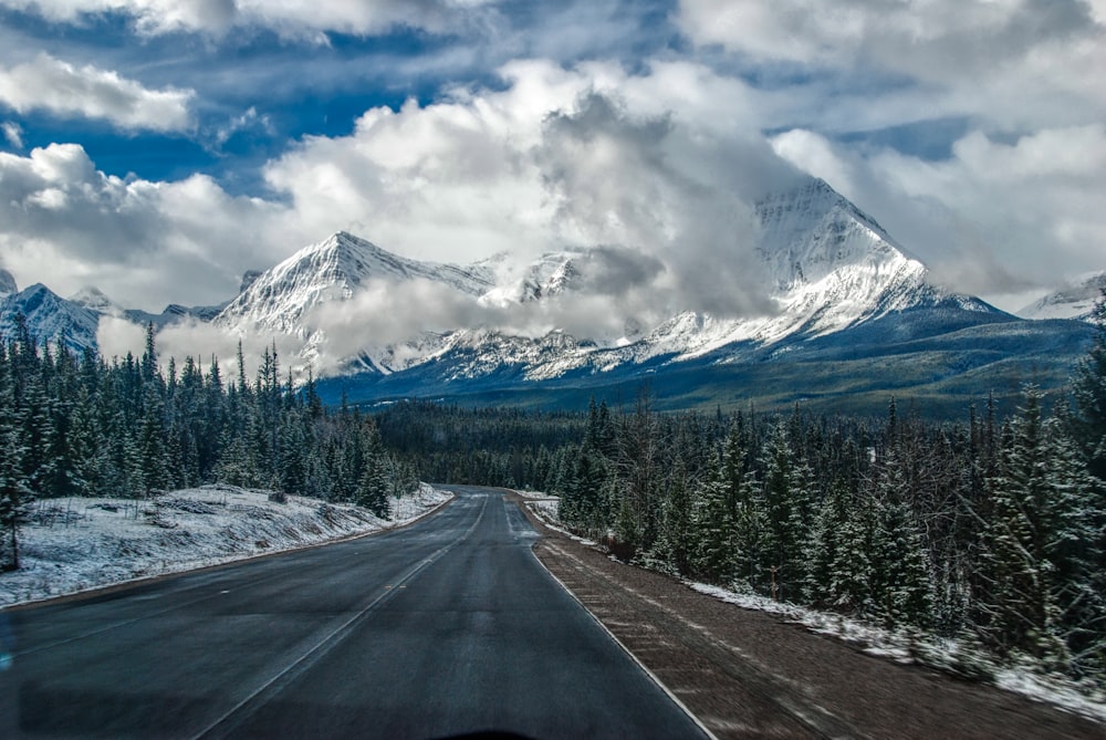 gray asphalt road between green trees under white clouds and blue sky during daytime