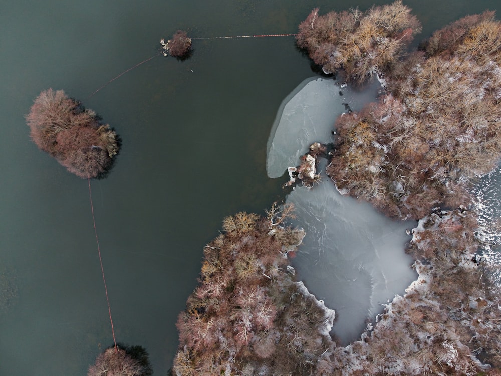 aerial view of island surrounded by body of water