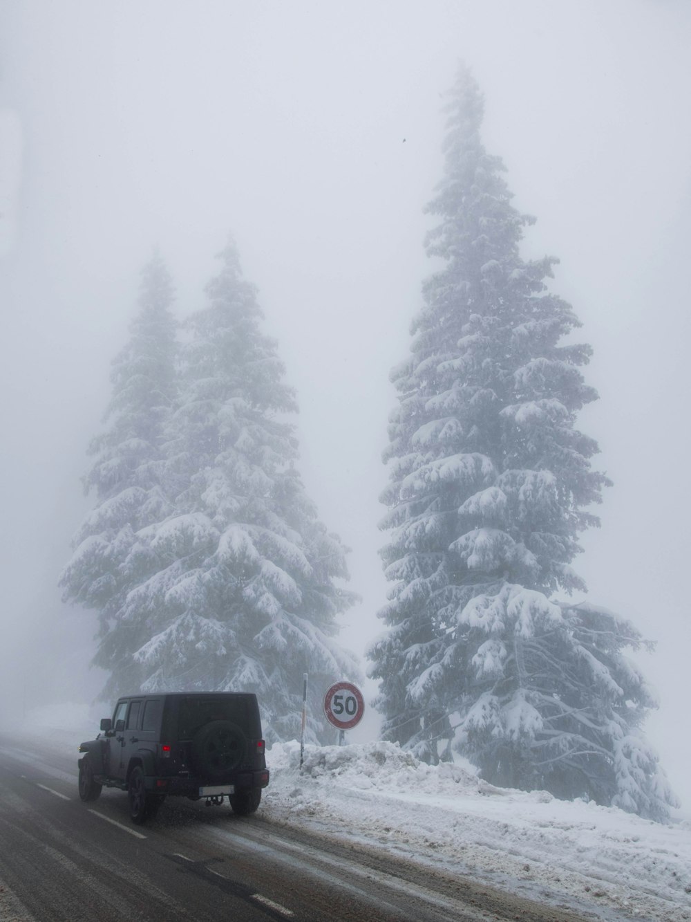 black car on snow covered road near pine trees during daytime