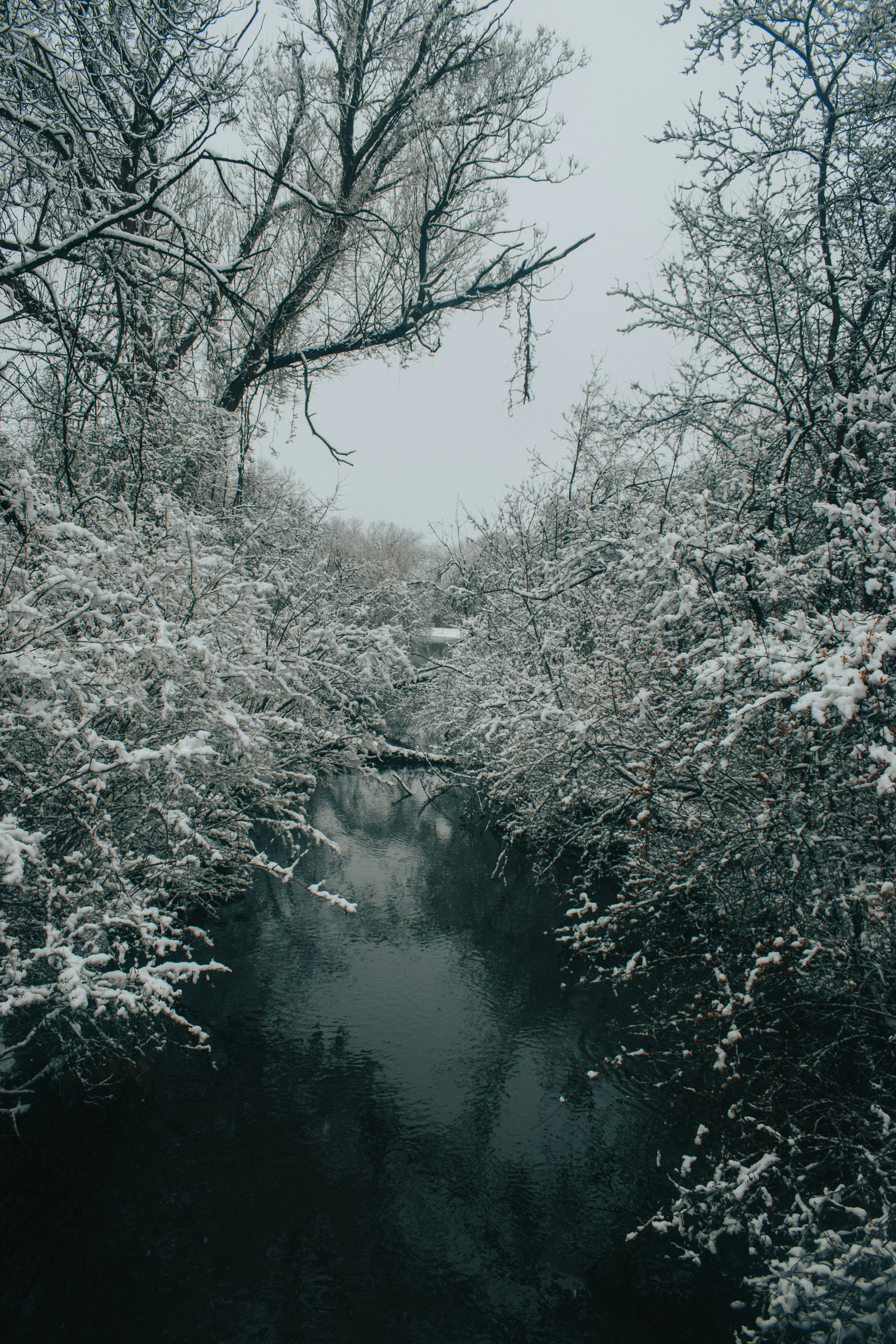 Photo by mariahhewines