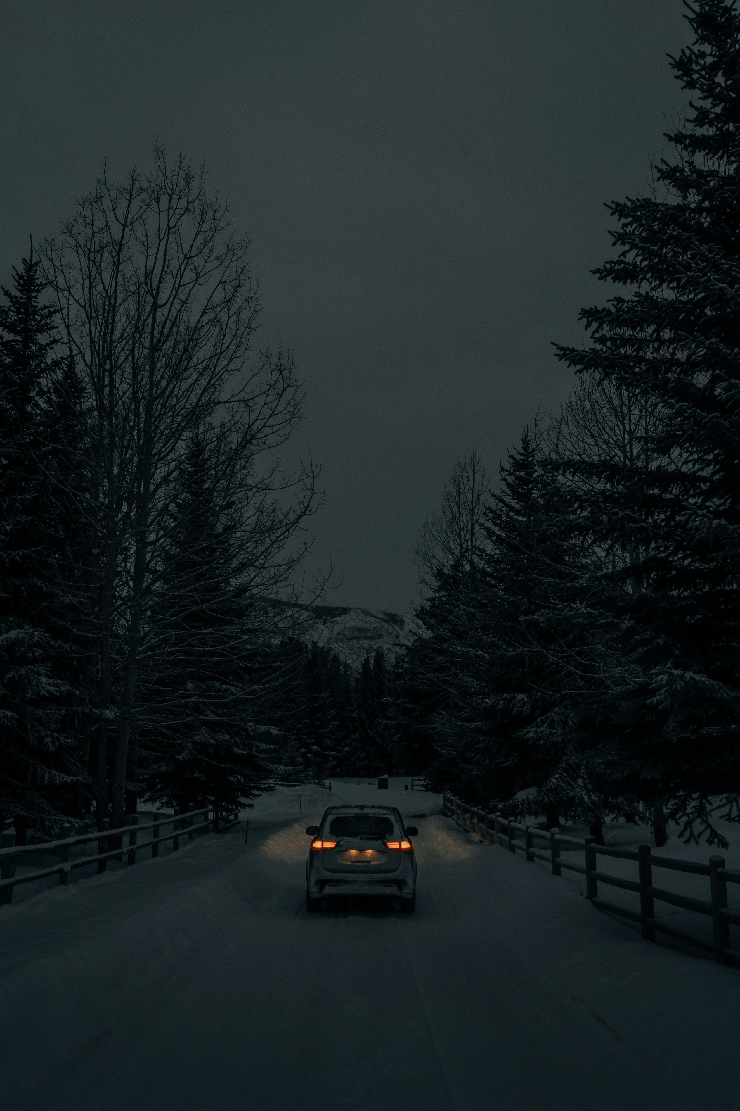 Photo by claybanks