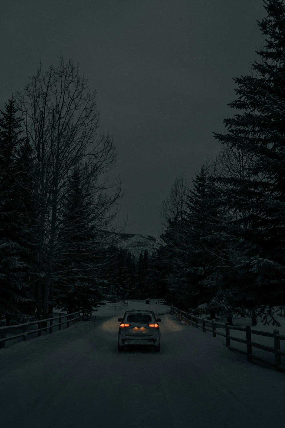 black car on road between trees during daytime