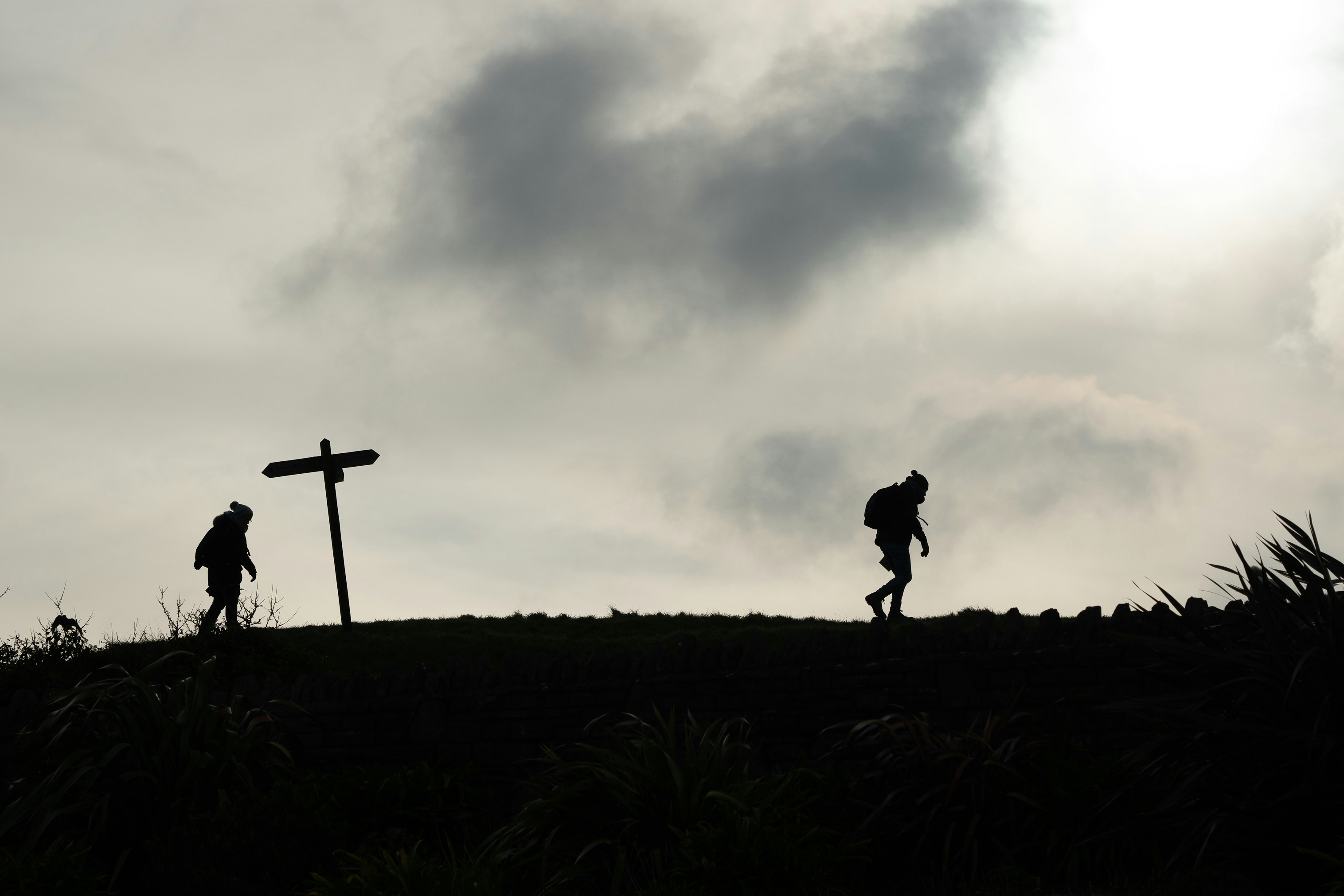 silhouette of person standing on grass field under cloudy sky during daytime