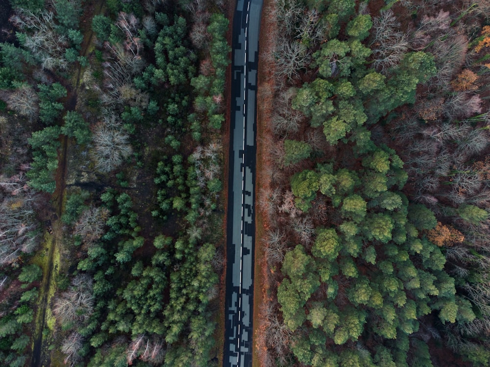 aerial view of green trees during daytime