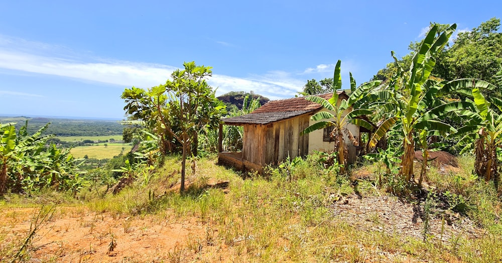 Casa de madera marrón cerca de campo de hierba verde bajo el cielo azul durante el día