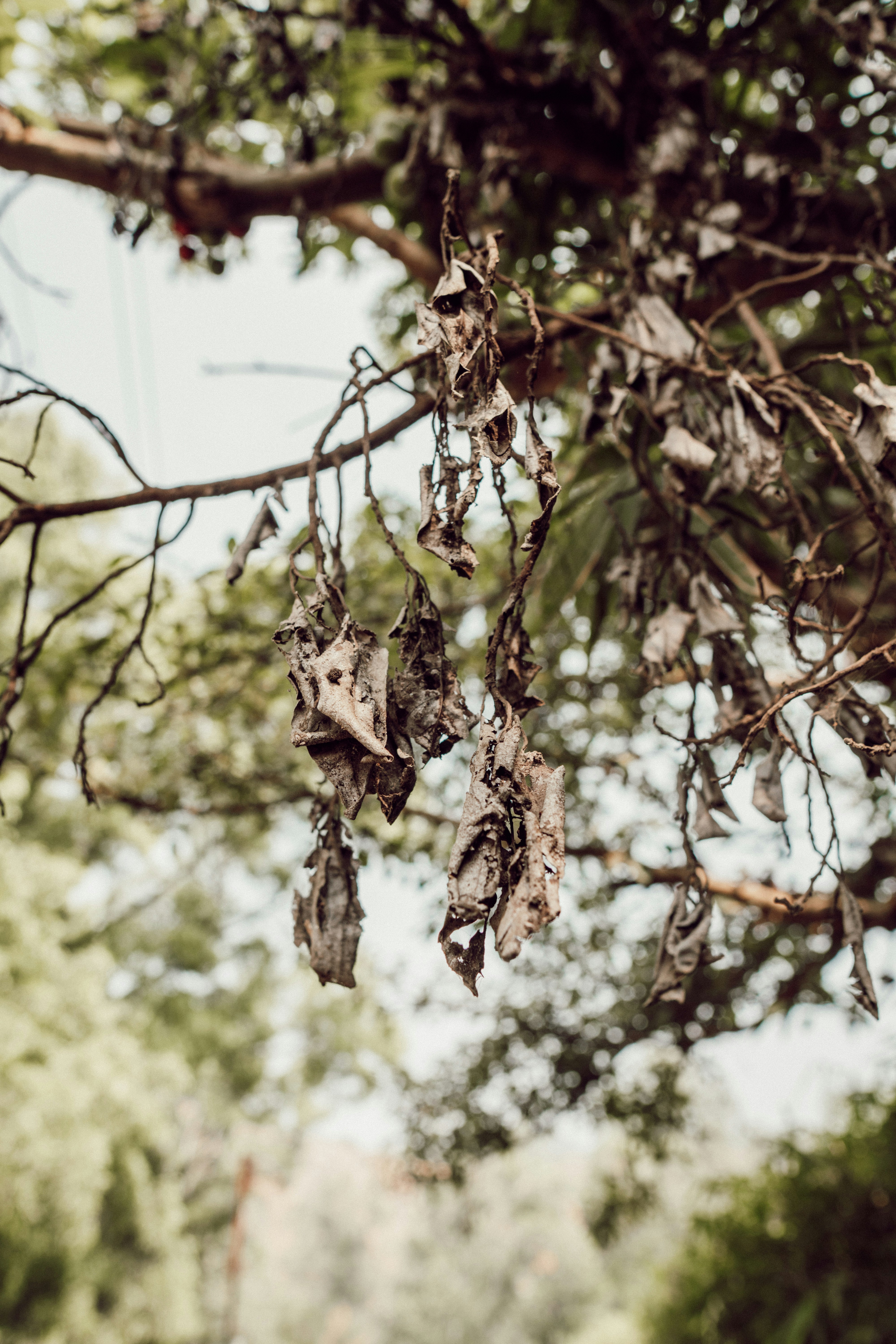 Photo by kishancreates