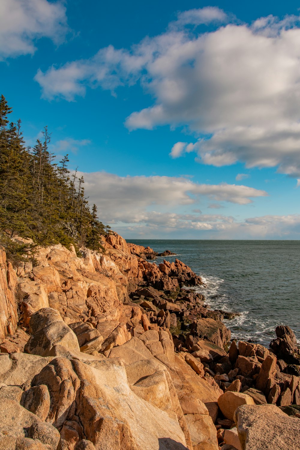 brown rocky shore with green trees and blue sea under blue sky and white clouds during
