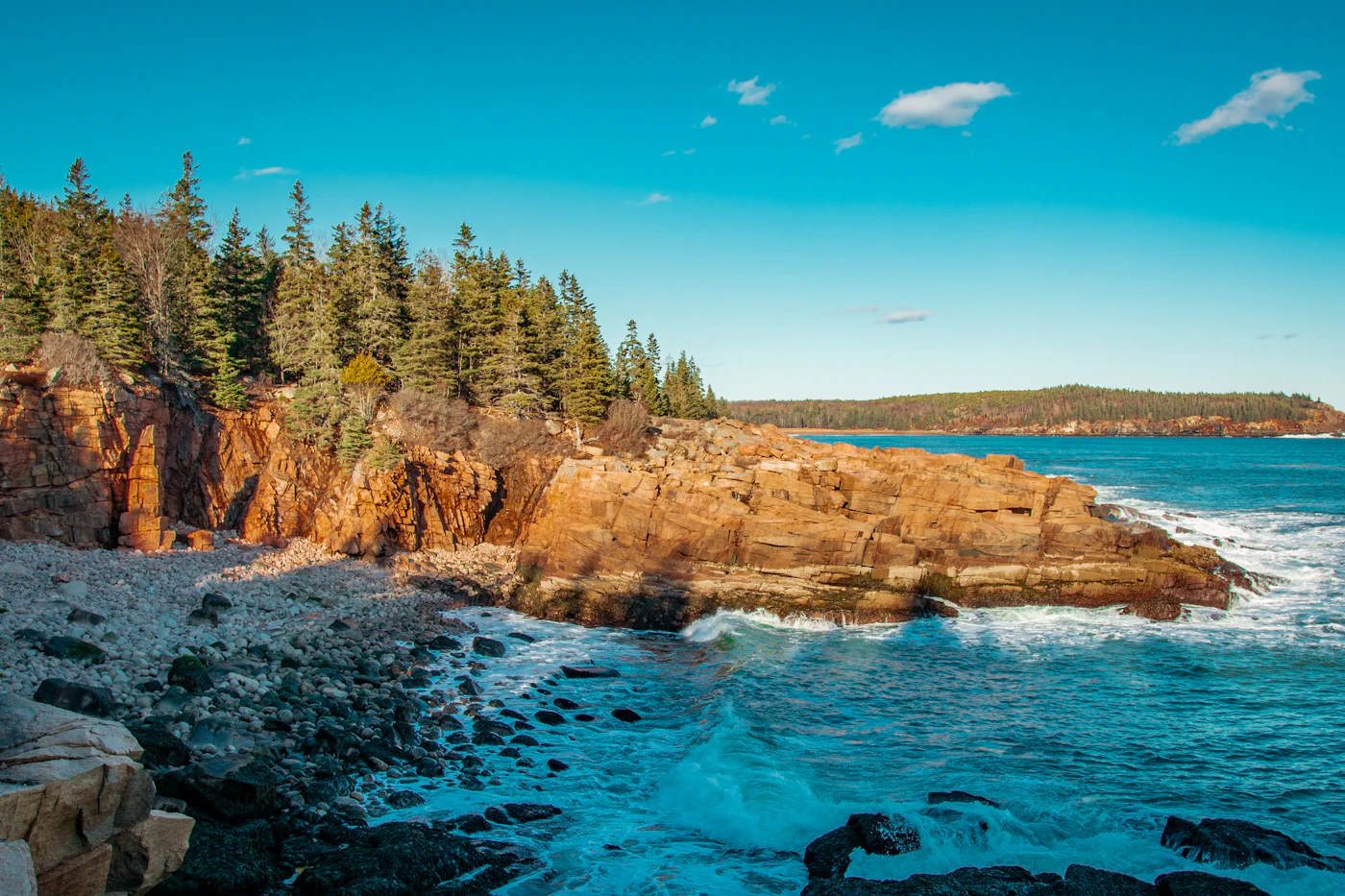 Rocky shore and pine forest along the Acadia National Park coast in Maine