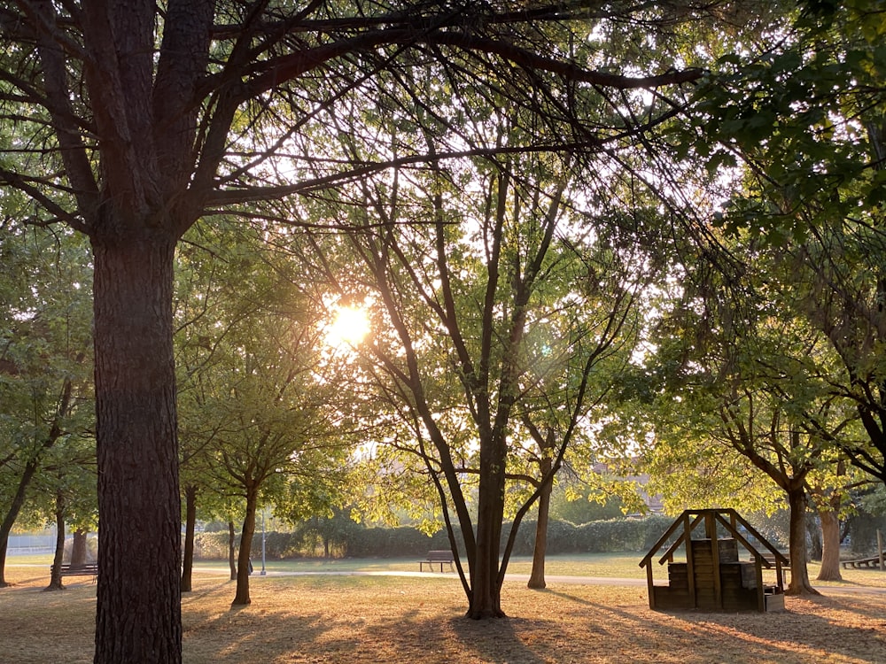 brown wooden bench under green tree during daytime