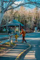 A couple wearing matching scarves walking hand-in-hand through a crisp autumn park.