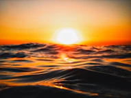 sun setting over the horizon
