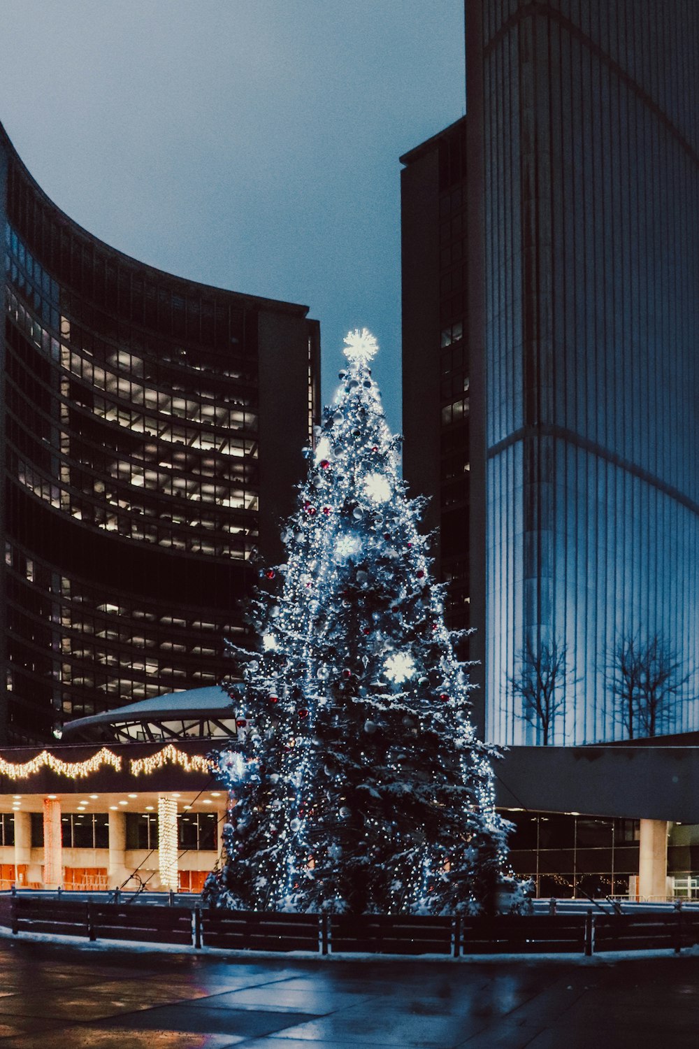 white christmas tree with string lights near high rise building during night time