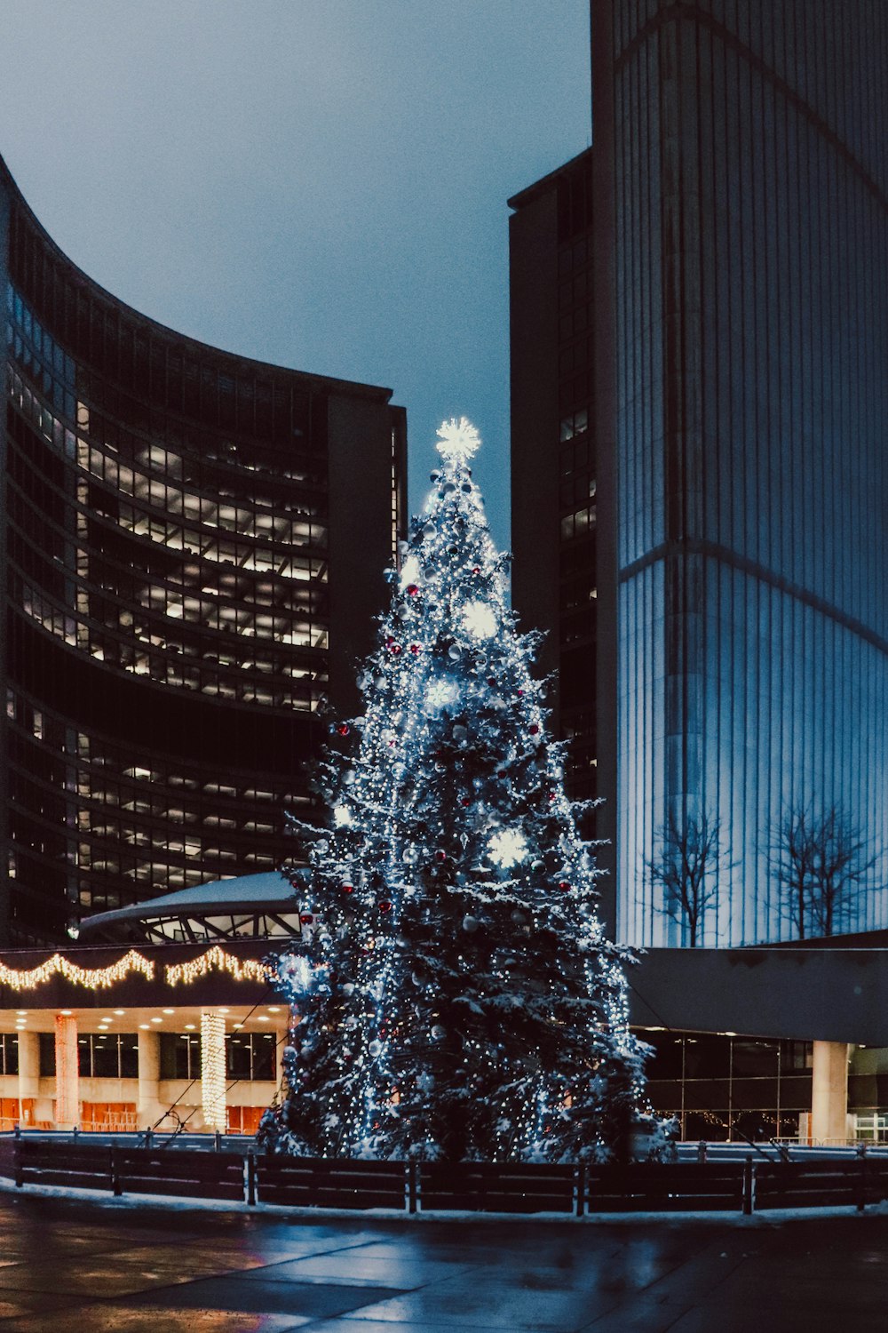 Weißer Weihnachtsbaum mit Lichterketten in der Nähe von Hochhäusern während der Nachtzeit
