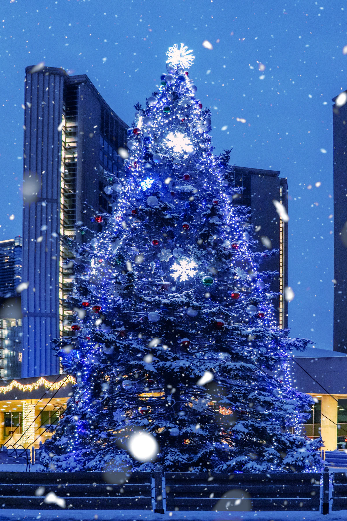 Christmas tree with glowing string lights in the snow