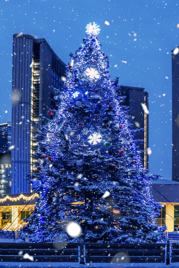 Best Places to Spend Christmas in the World (2026 Guide)