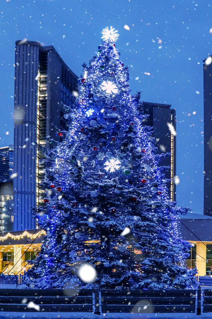 Christmas tree with glowing string lights in the snow