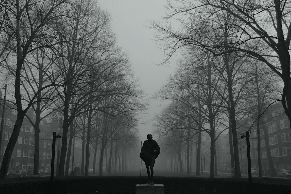 uomo in giacca nera in piedi sul sentiero tra gli alberi spogli