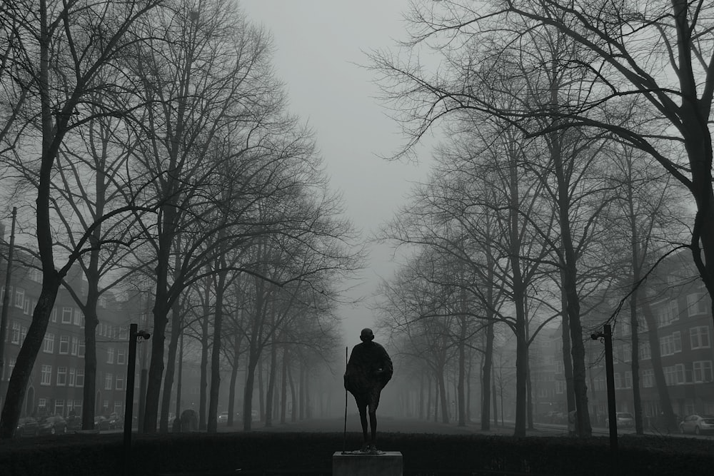 man in black jacket standing on pathway between bare trees