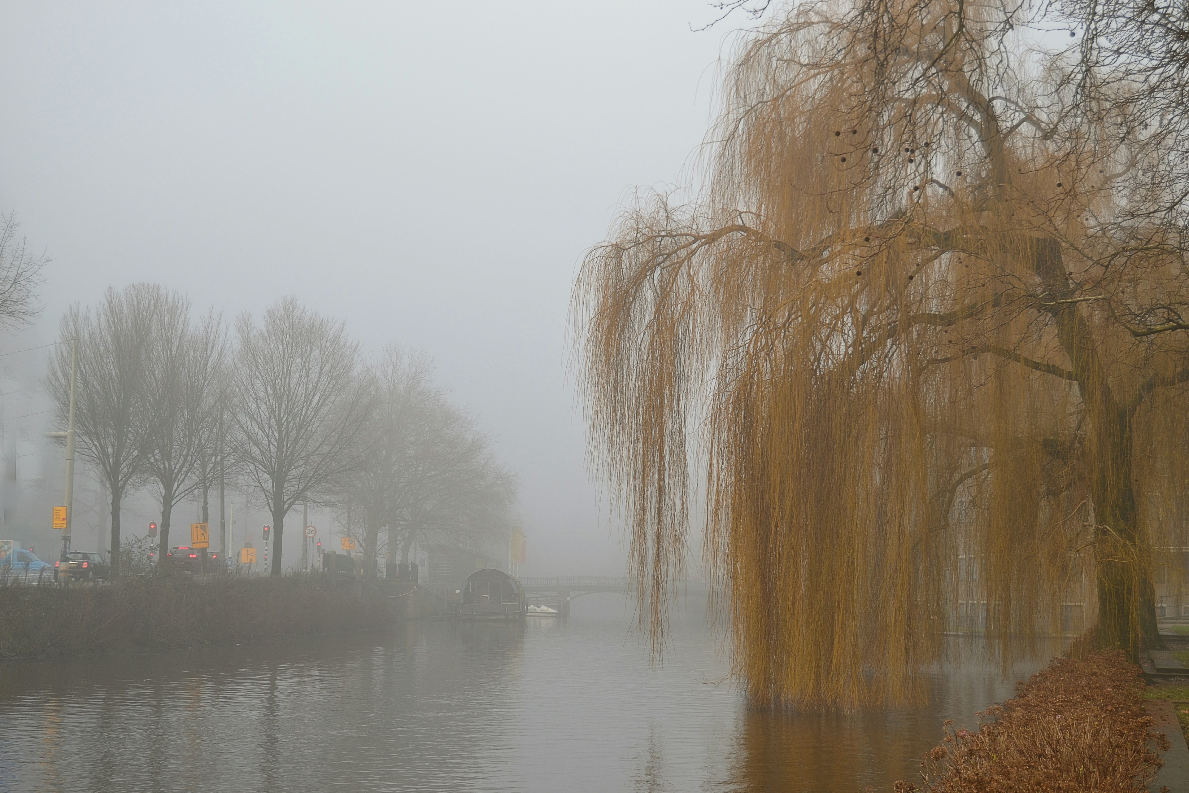 Photo by gregdale