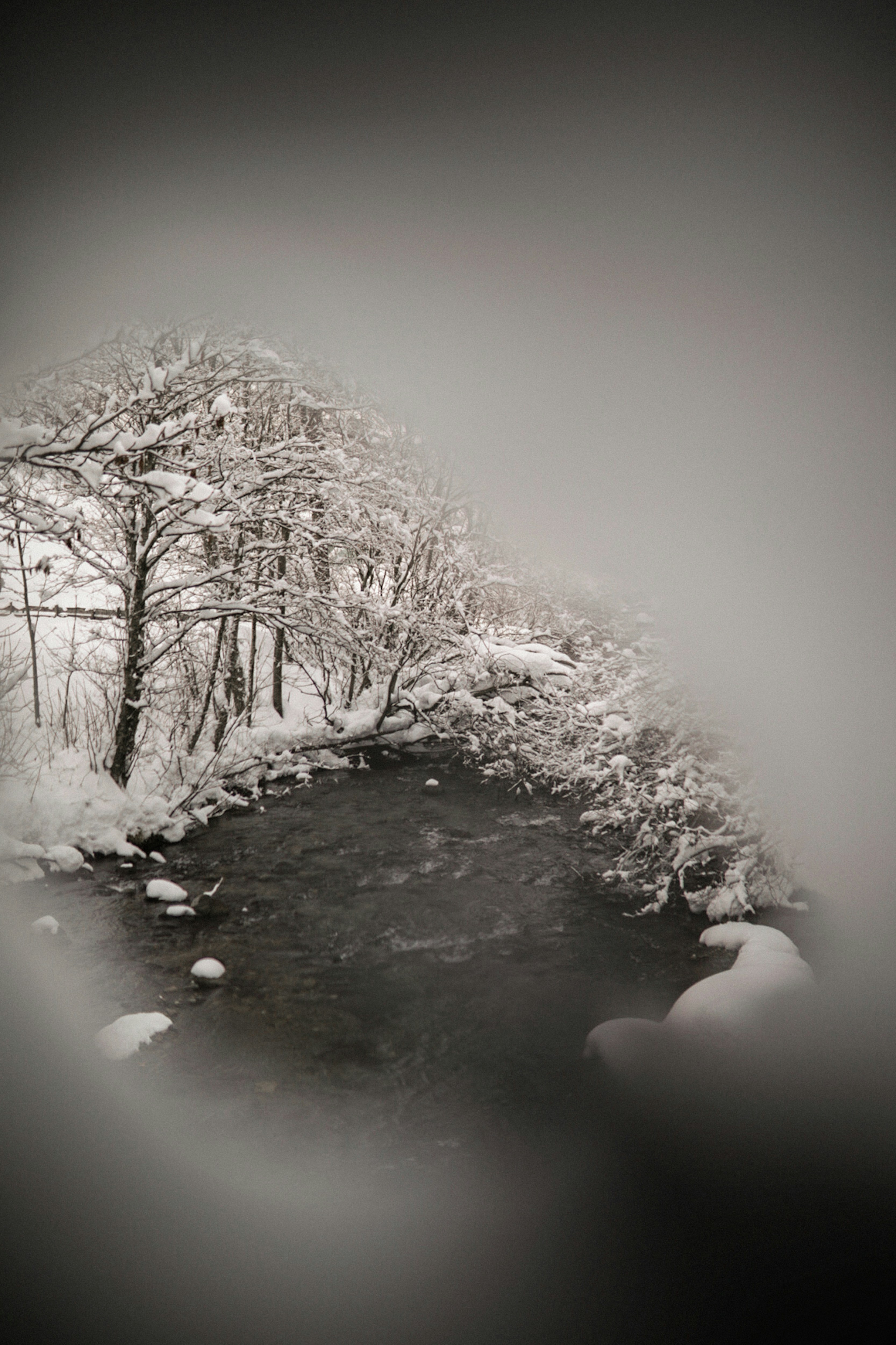 Photo by kajareichardtphotos