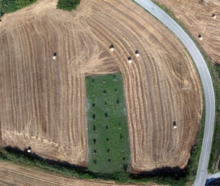 Aerial view of a field with rows of crops and several hay bales scattered throughout. The field is sectioned by a green patch of grass or different crops in the center. A curved road borders the field on the right side. The landscape features a pattern of golden brown and green hues, indicating the harvested and unharvested areas.