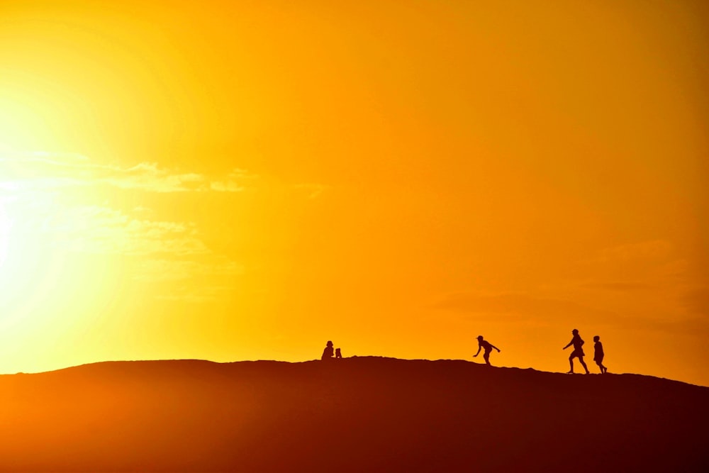 silhouette of 4 legged animals on hill during sunset