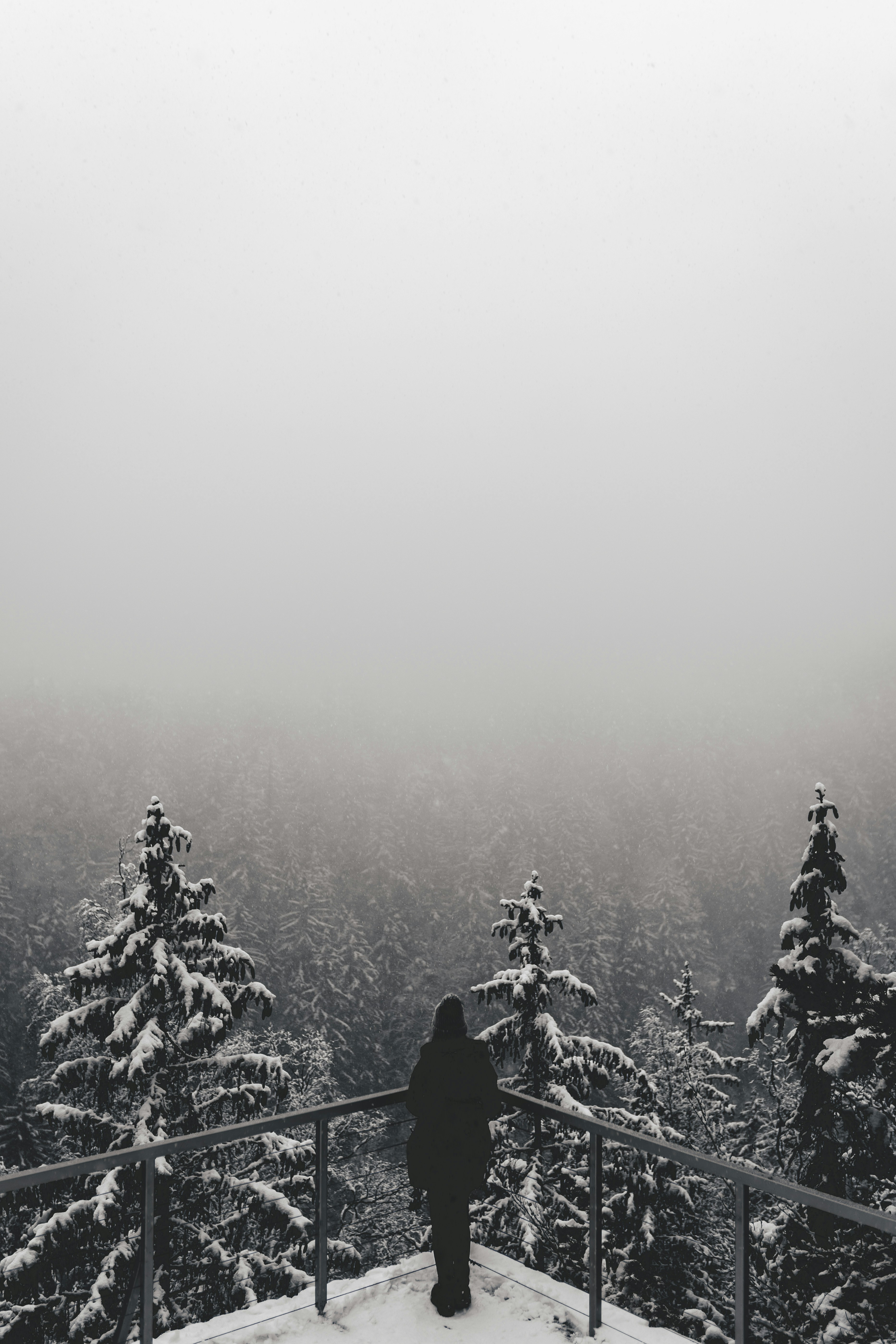 Photo by gregory_rak