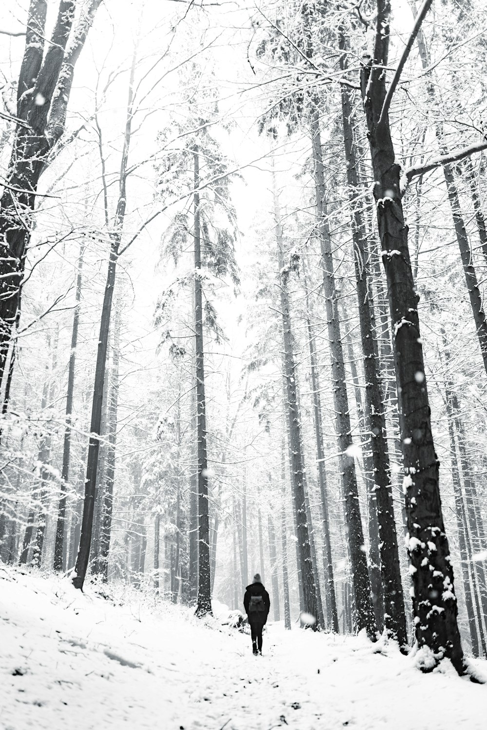 person in black jacket standing on snow covered ground in forest during daytime