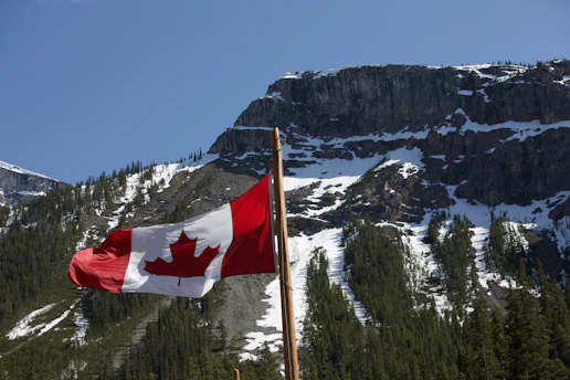 A welcoming maple leaf gently resting on a globe, symbolizing Canadian immigration and global relocation.