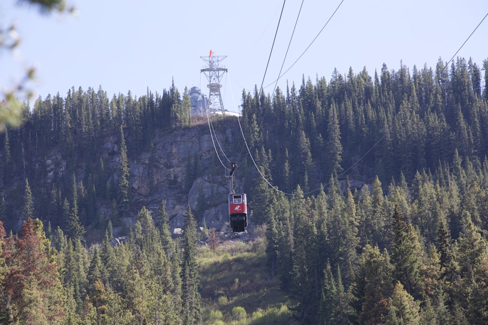 red cable car over green trees during daytime