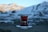 A glass of tea sits on a saucer against a backdrop of snow-covered mountains. The focus is on the glass, which is filled with red tea, while the mountains in the background are slightly blurred, suggesting a serene and calm setting.
