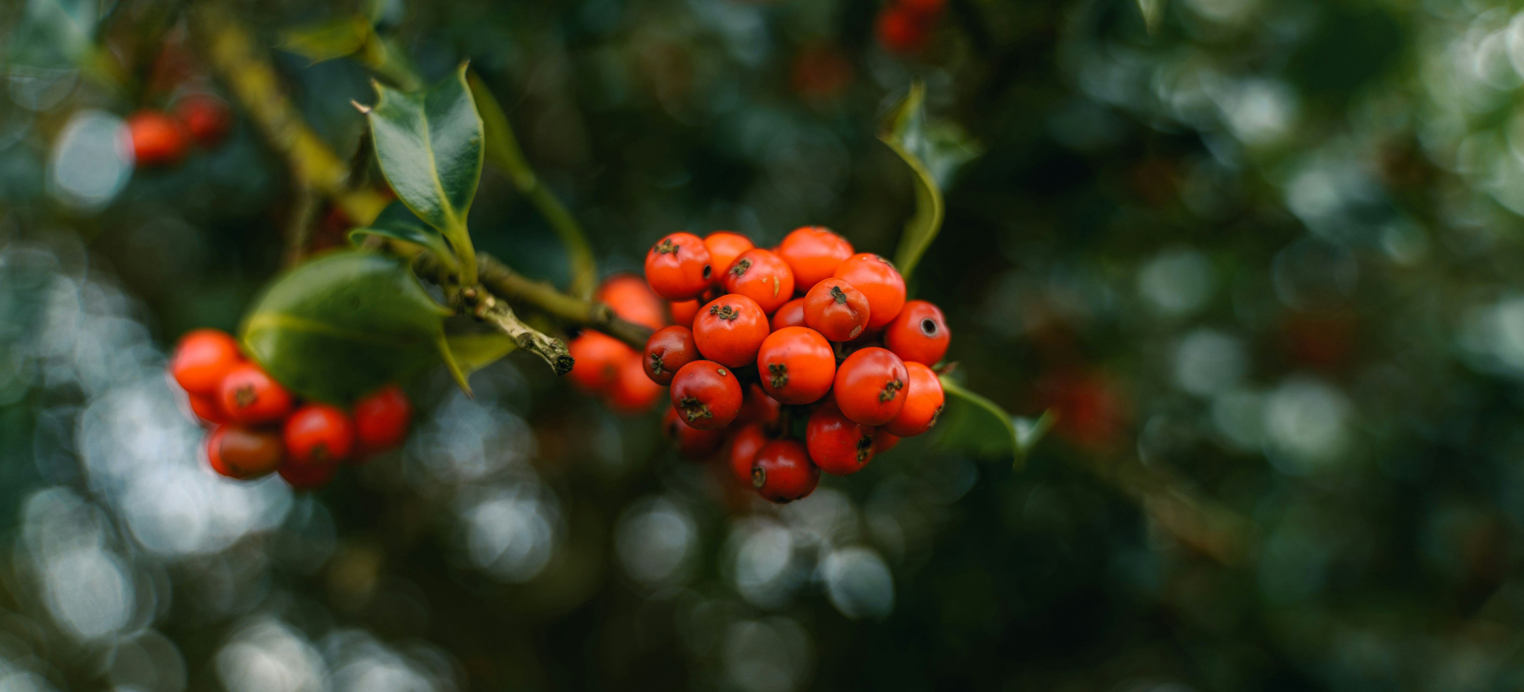 Photo by reubenobery