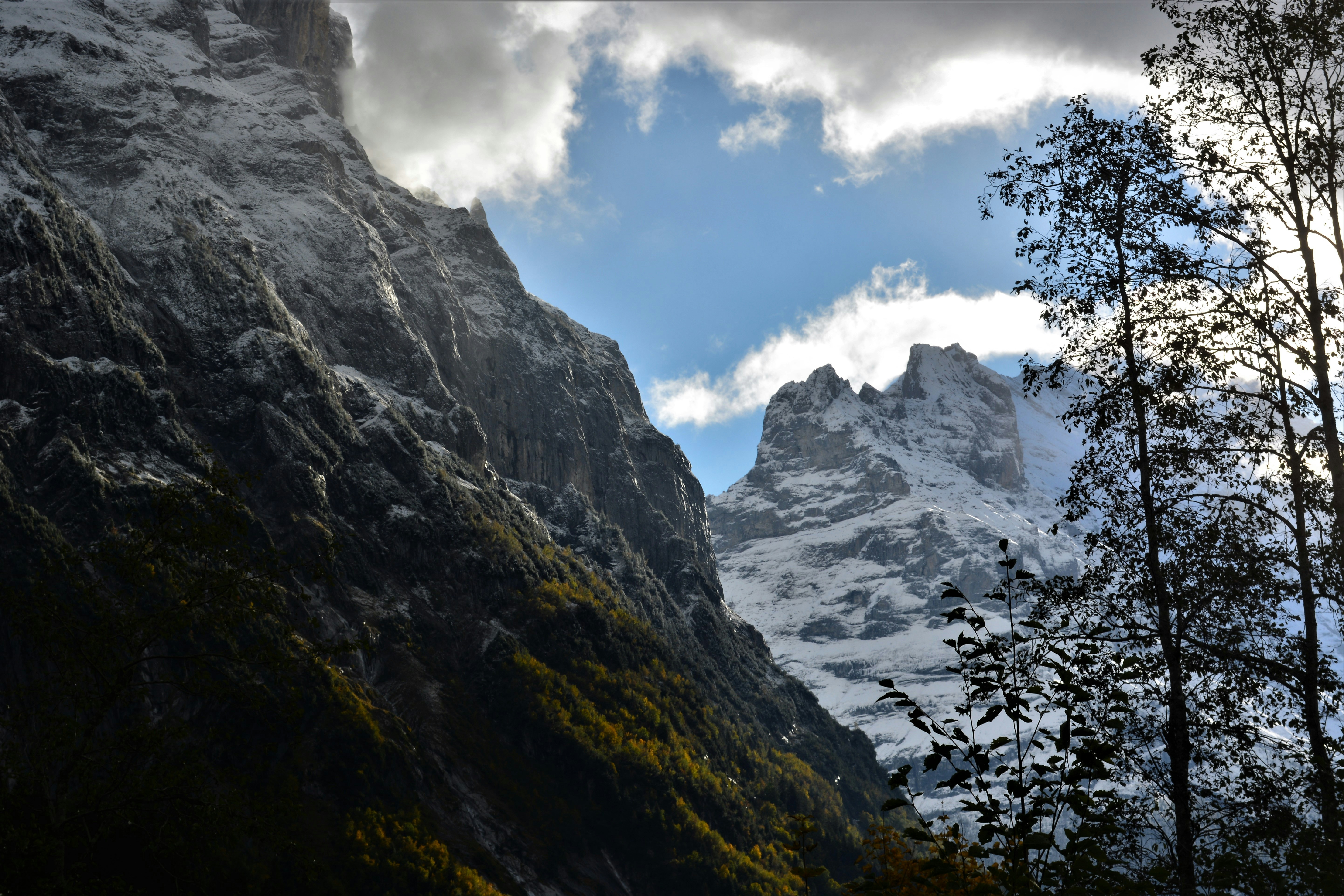 Photo by pedrino5_official