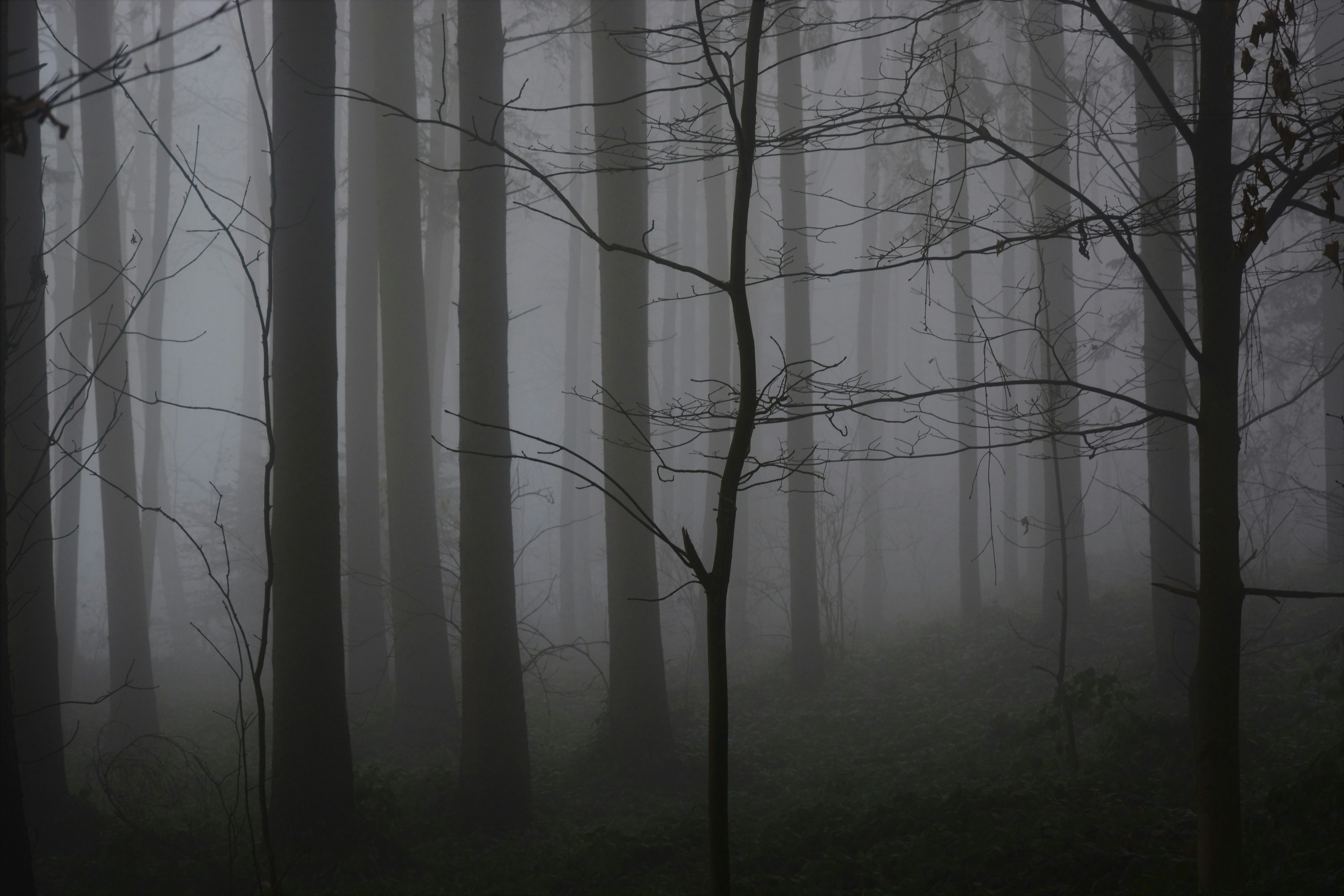 Photo by pedrino5_official