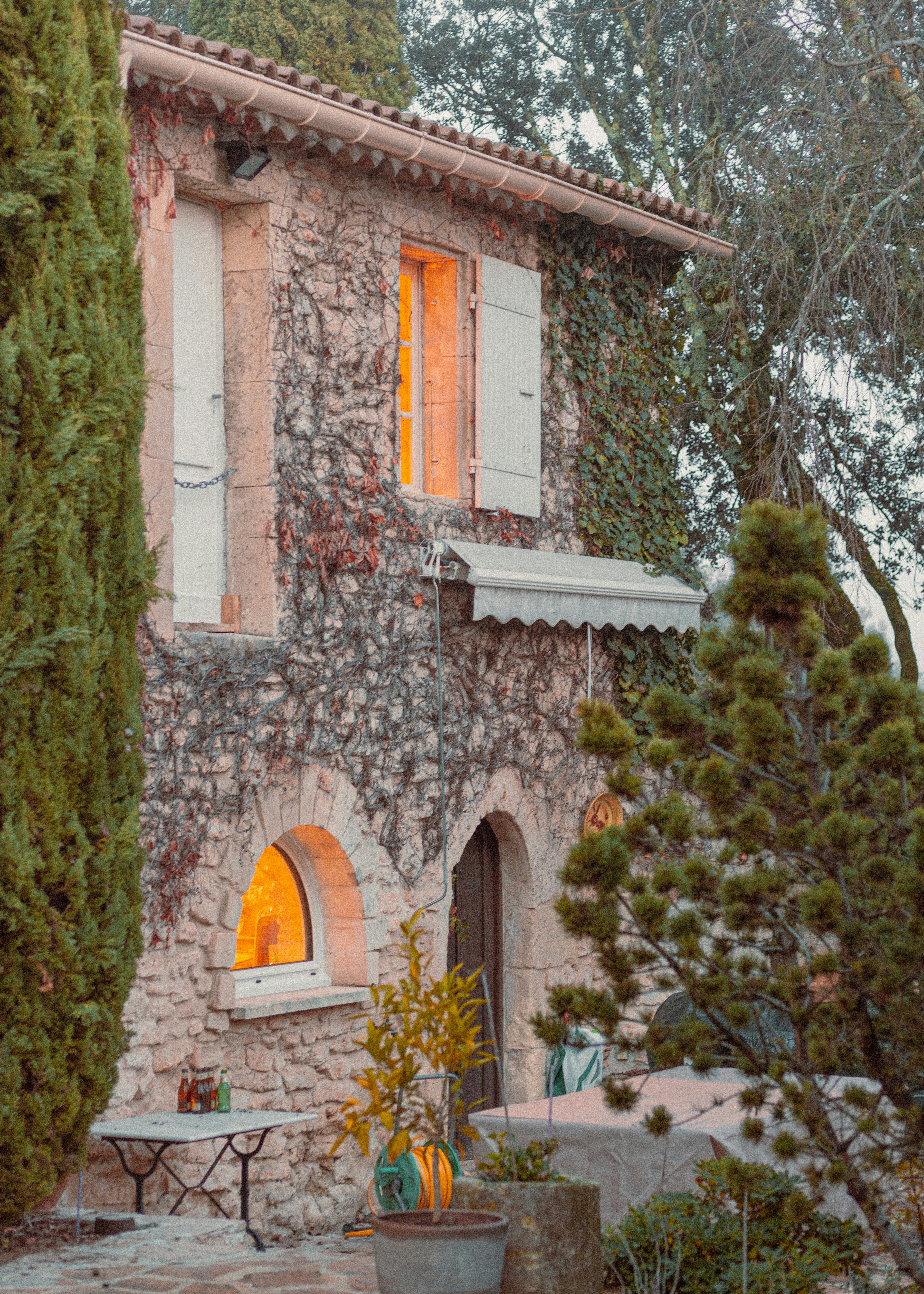 brown brick house with green plants