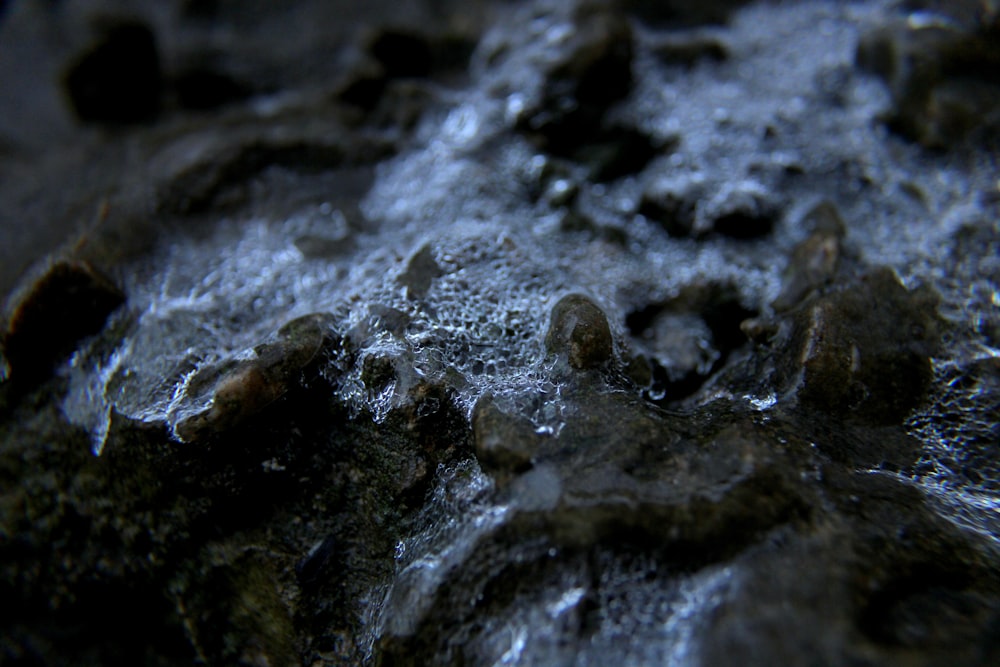 water droplets on gray rock