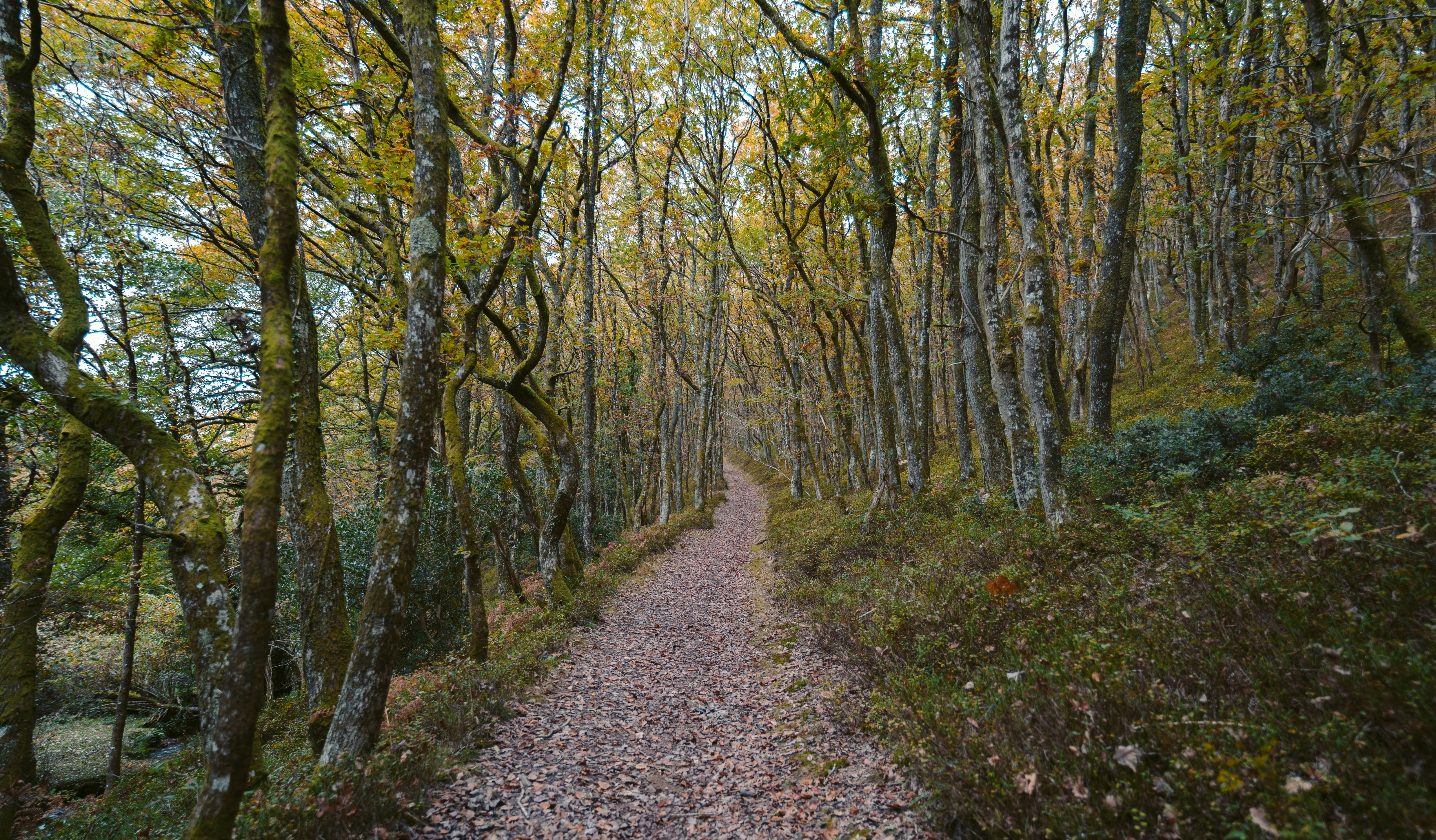 Photo by reubenobery